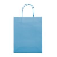 Draagtas papier gedraaide hengels papier - middel formaat - Yana Gifts